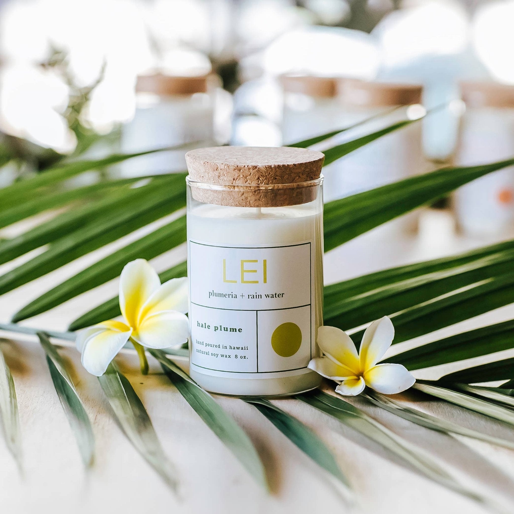 LEI Candle - Salt & Loom