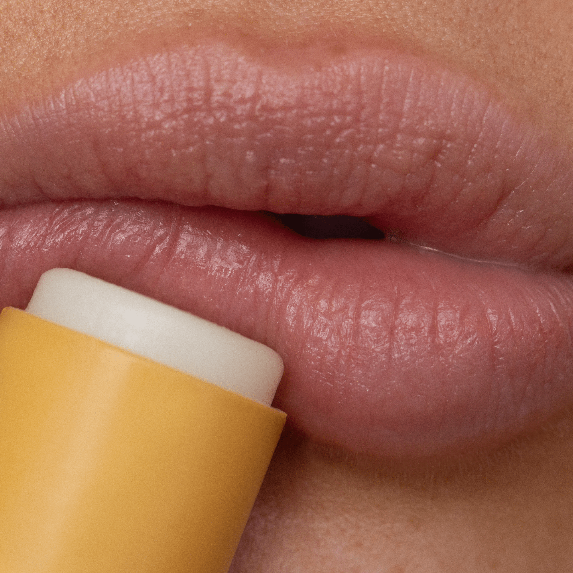 Lip Balm, Lemon Bloom - Salt & Loom
