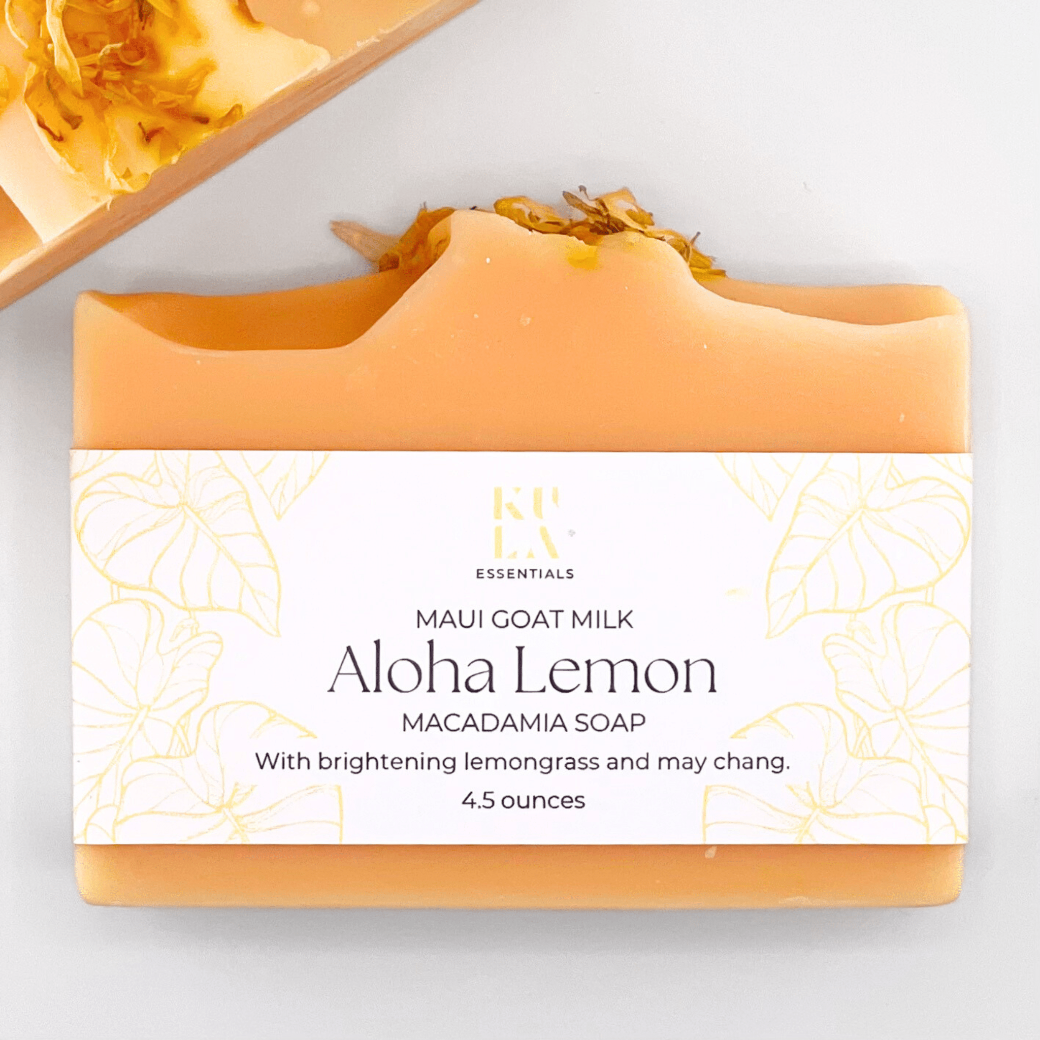 Maui Goat Milk Macadamia Soap -  Aloha Lemon - Salt & Loom