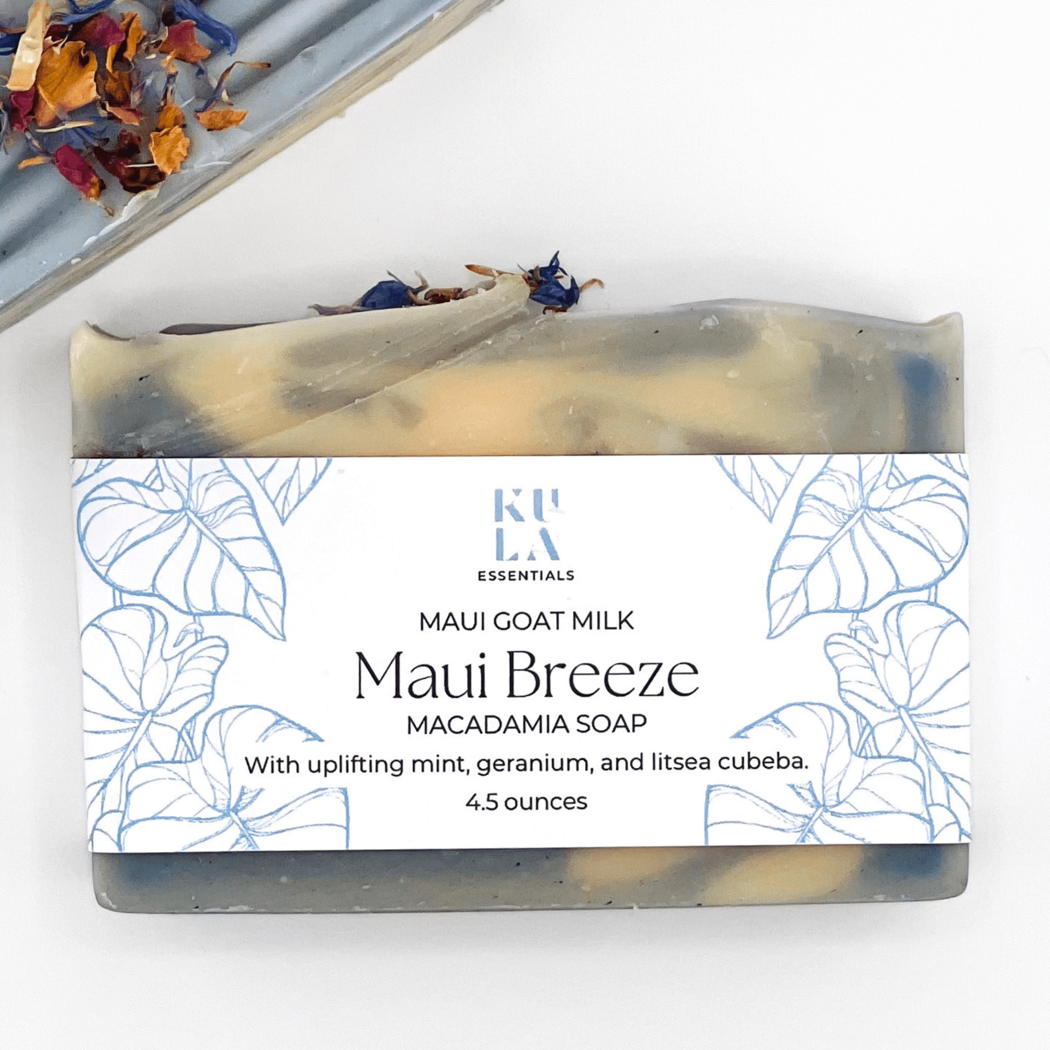 Maui Goat Milk Macadamia Soap -  Maui Breeze - Salt & Loom