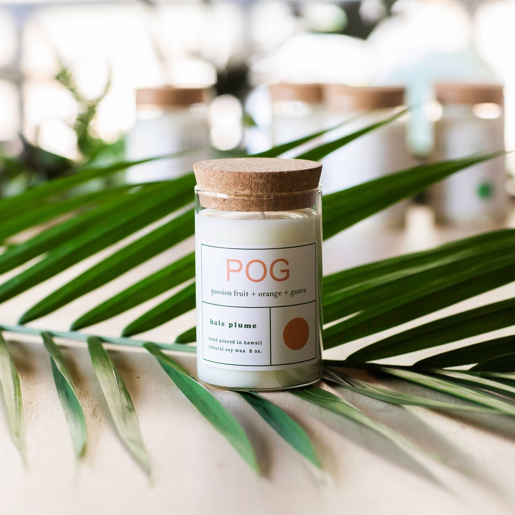 POG Candle - Salt & Loom