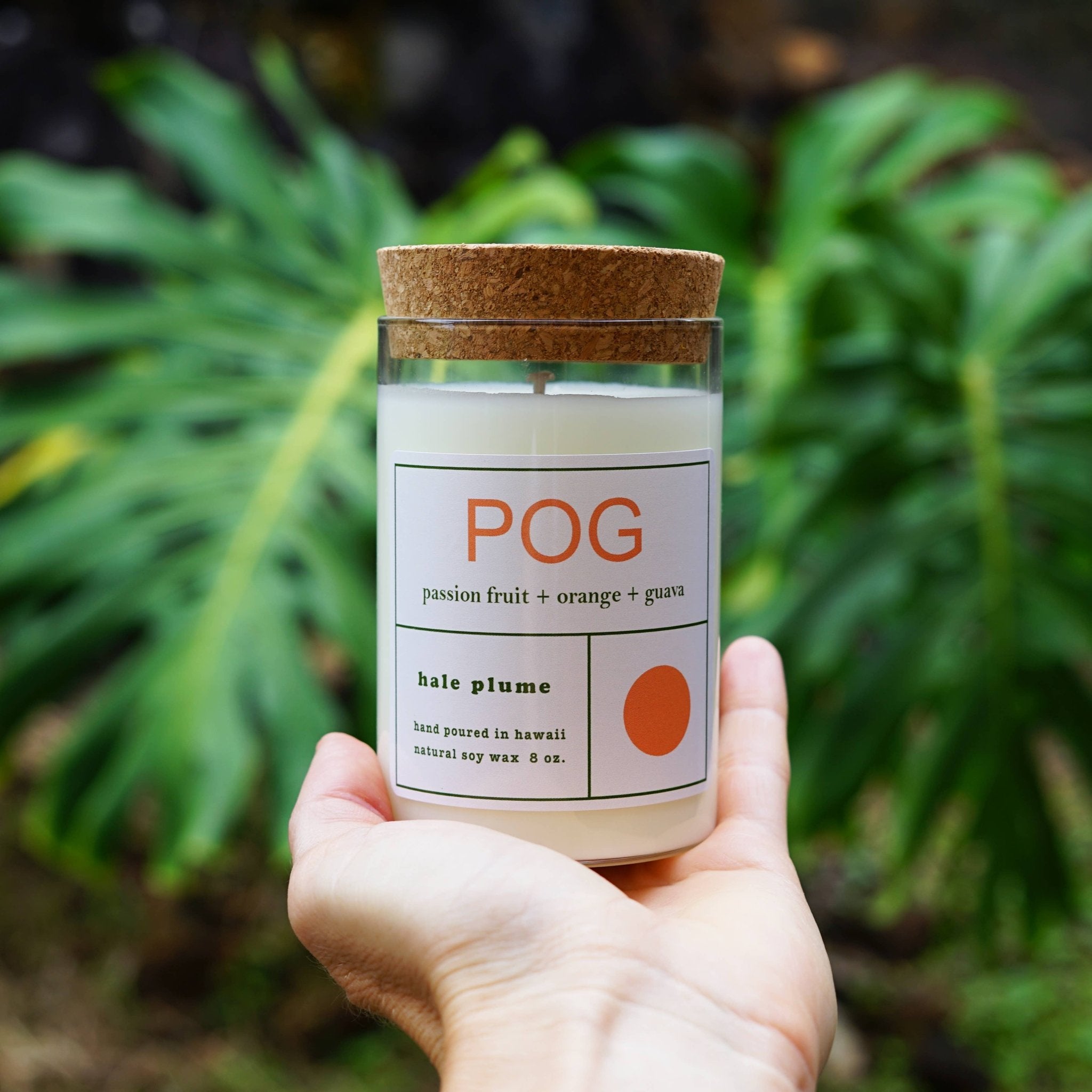 POG Candle - Salt & Loom